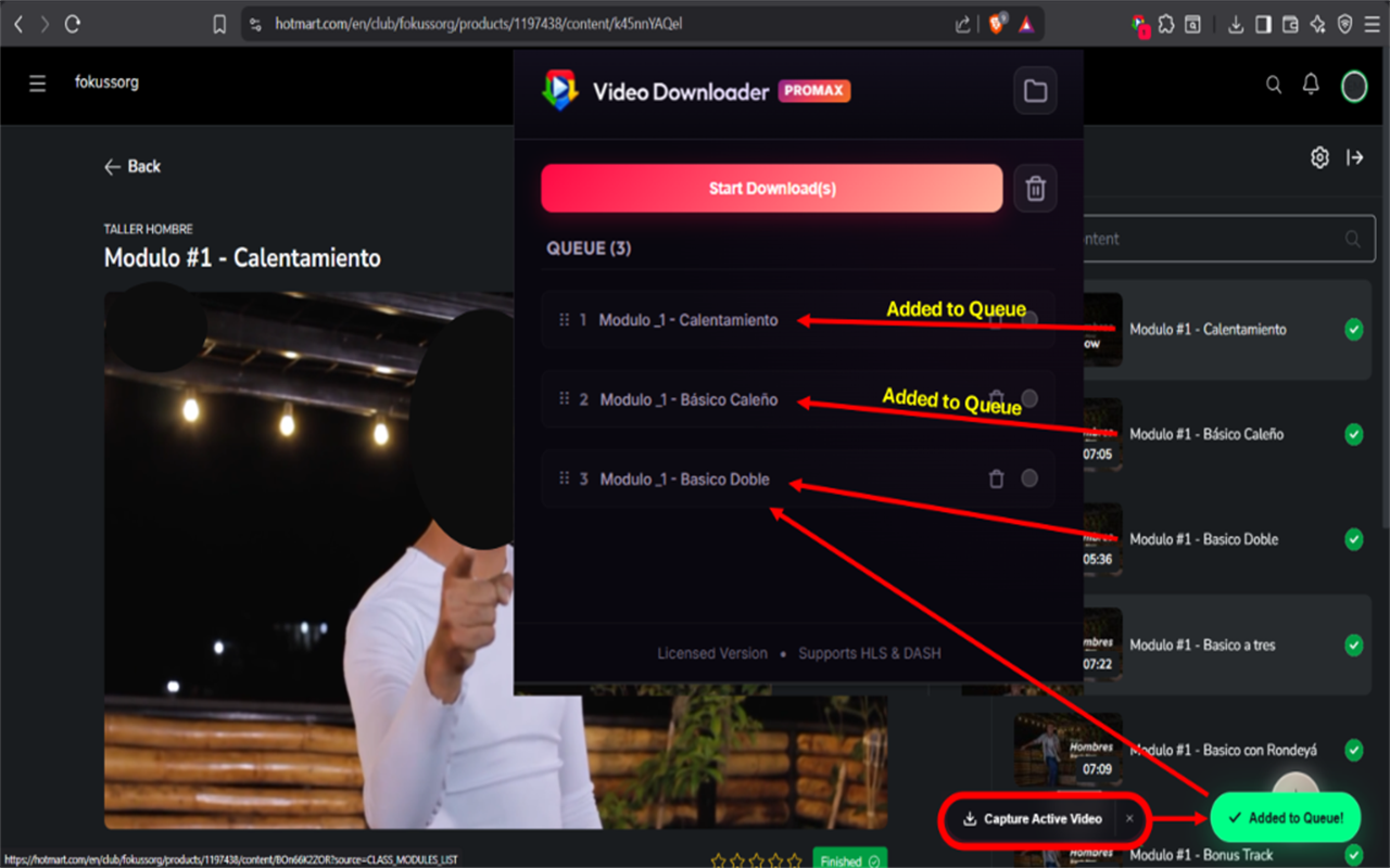 Video Downloader ProMax Interface
